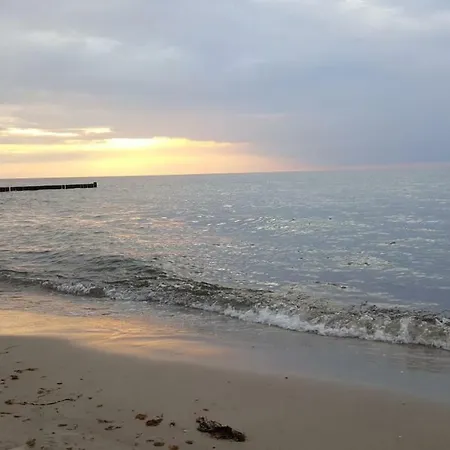 Fewo Kuste & Wald Graal-muritz Ostsee Gelbensande